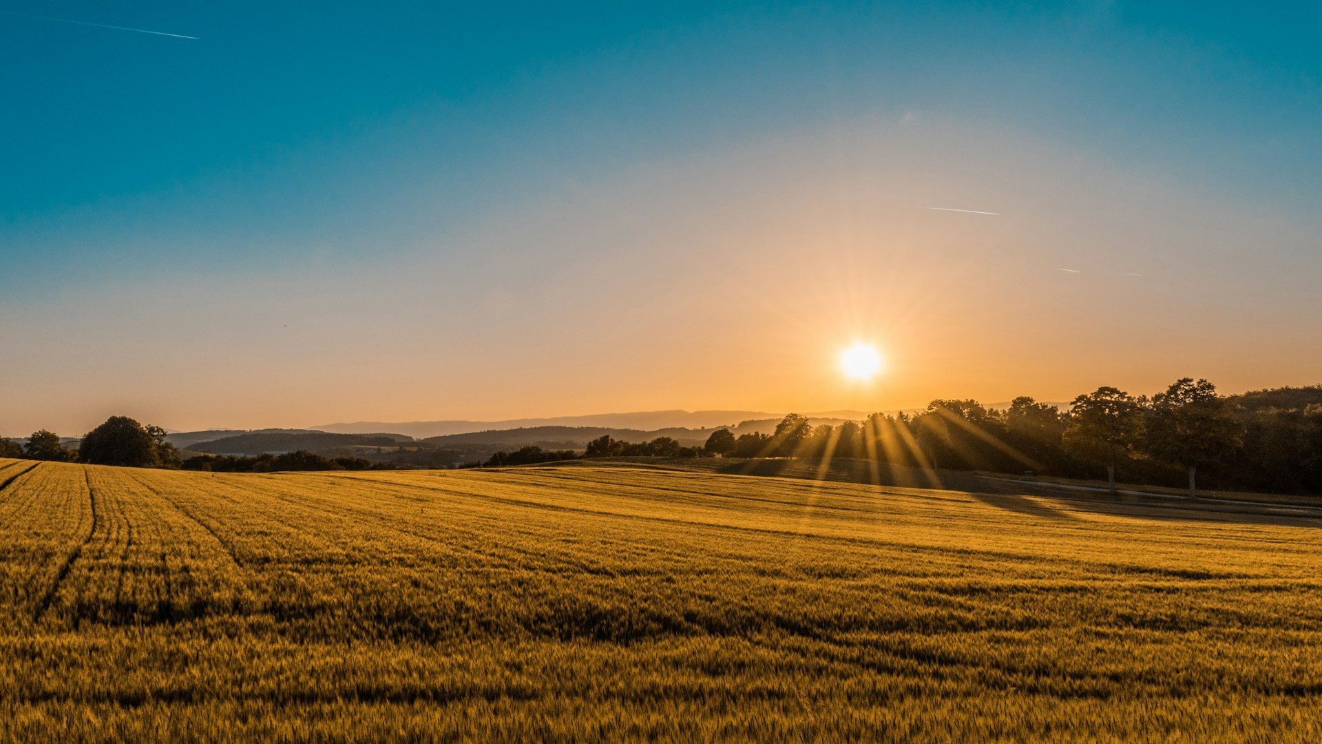 Campos de cultivo al amanecer en la región de Cuauhtémoc